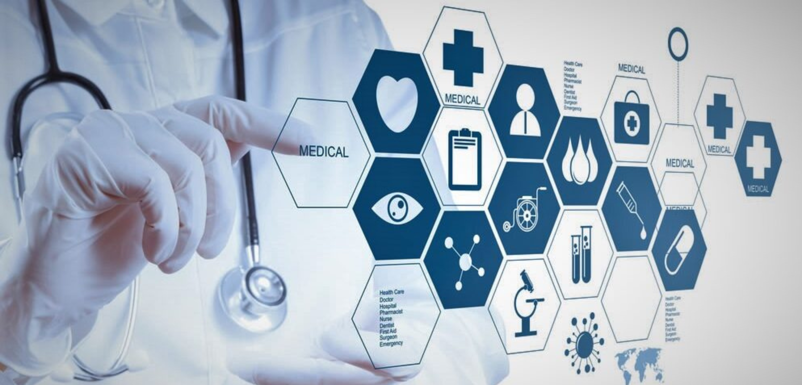 On-Site Study Execution & Management